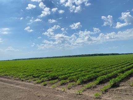 Ranch Property for sale in Franklin Parish, Louisiana
