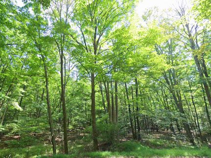 Ranch Property for sale in Blair County, Pennsylvania