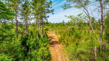 Farm Property for sale in Jackson County, Florida