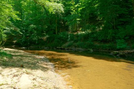 Farm Property for sale in Surry County, North Carolina