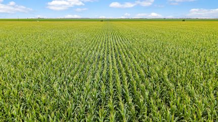 Farm Property for sale in Jackson County, Texas