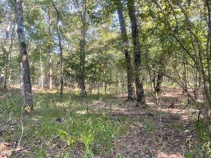 Ranch Property for sale in Lamar County, Texas