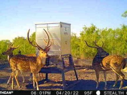 Ranch Property for sale in McCulloch County, Texas