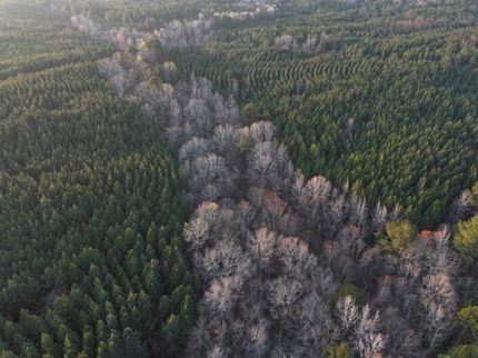 Farm Property for sale in Heard County, Georgia