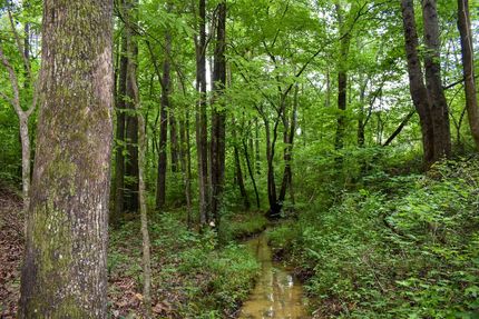Ranch Property for sale in Gordon County, Georgia
