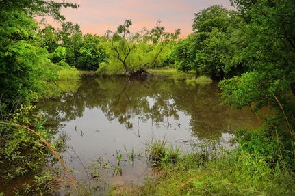 Ranch Property for sale in Wise County, Texas