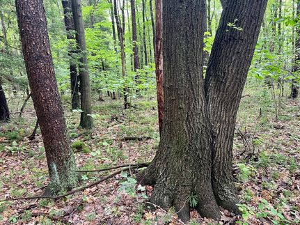 Recreational Property for sale in Cambria County, Pennsylvania