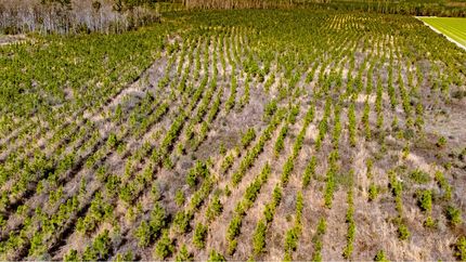Farm Property for sale in Calhoun County, Florida