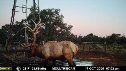 Farm Property for sale in Torrance County, New Mexico
