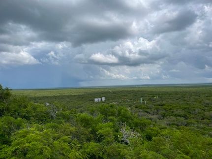 Farm Property for sale in Duval County, Texas