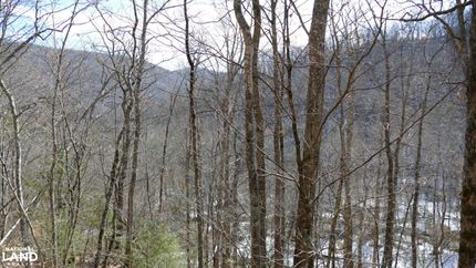 Timberland Property for sale in Highland County, Virginia