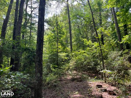 Farm Property for sale in Marion County, Alabama