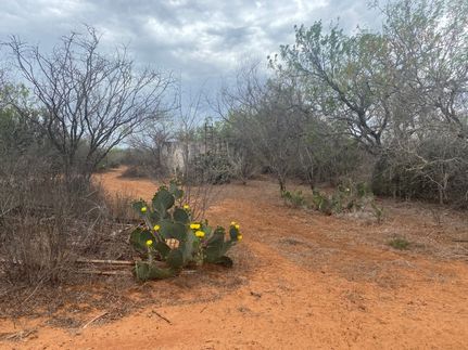 Ranch Property for sale in Duval County, Texas