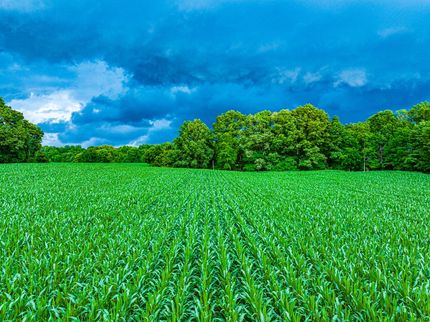 Farm Property for sale in Gibson County, Tennessee
