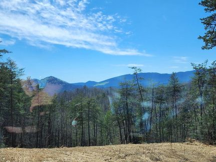Ranch Property for sale in Montgomery County, Virginia