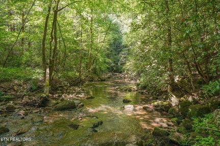 Farm Property for sale in Blount County, Tennessee