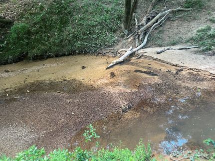 Ranch Property for sale in Amite County, Mississippi