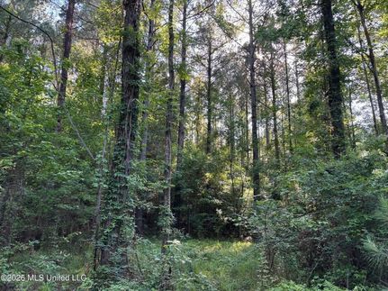 Ranch Property for sale in Franklin County, Mississippi