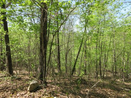 Timberland Property for sale in Jackson County, Alabama