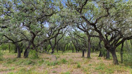 Residential Property for sale in Goliad County, Texas