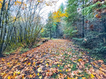 Recreational Property for sale in Lane County, Oregon