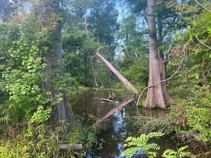 Farm Property for sale in Beauregard Parish, Louisiana