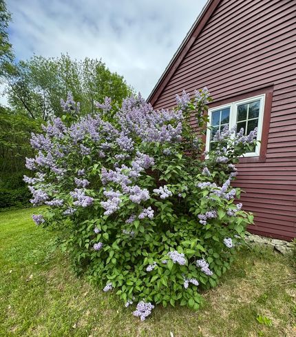 Undeveloped Land for sale in Lincoln County, Maine