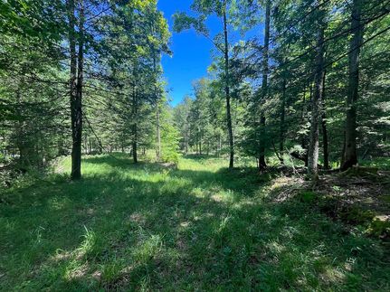 Ranch Property for sale in Randolph County, West Virginia