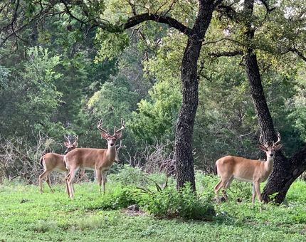 Farm Property for sale in Concho County, Texas