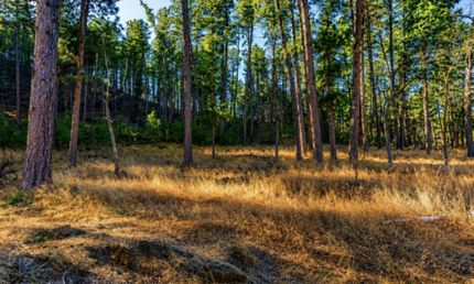 Recreational Property for sale in Pennington County, South Dakota