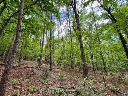 Ranch Property for sale in Cullman County, Alabama