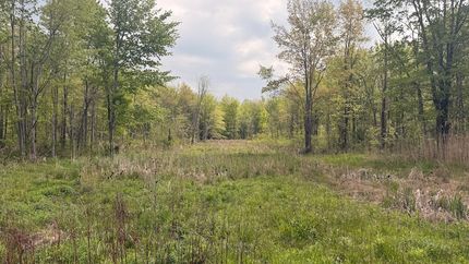 Recreational Property for sale in Ashtabula County, Ohio