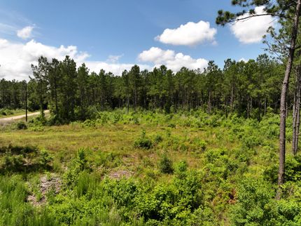Farm Property for sale in Tyler County, Texas