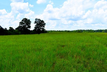 Residential Property for sale in Leon County, Texas