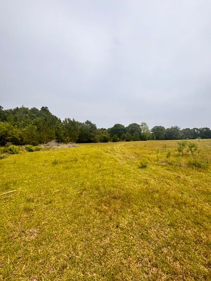 Residential Property for sale in Geneva County, Alabama