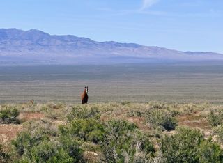 Farm Property for sale in Pershing County, Nevada