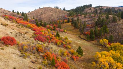 Farm Property for sale in Adams County, Idaho