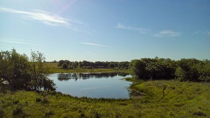 Farm Property for sale in McLennan County, Texas
