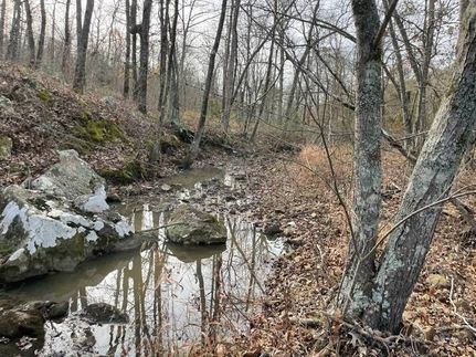 Undeveloped Land for sale in Pushmataha County, Oklahoma