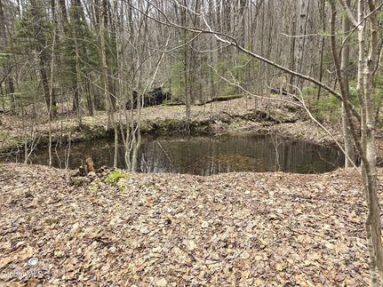 Farm Property for sale in Bennington County, Vermont