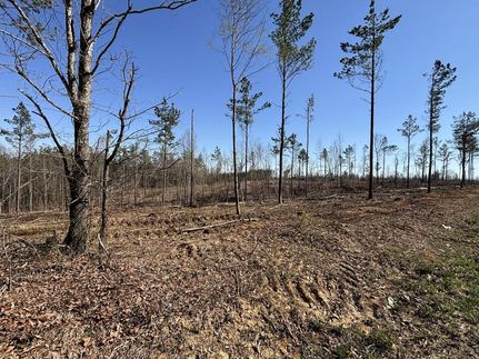 Timberland Property for sale in Wayne County, Tennessee