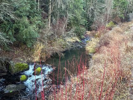 Farm Property for sale in Stevens County, Washington