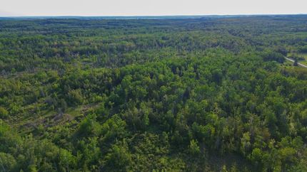 Timberland Property for sale in Alpena County, Michigan