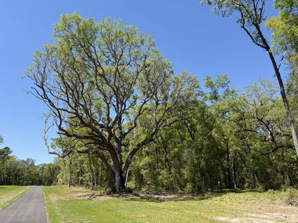 Property for sale in Marion County, Florida