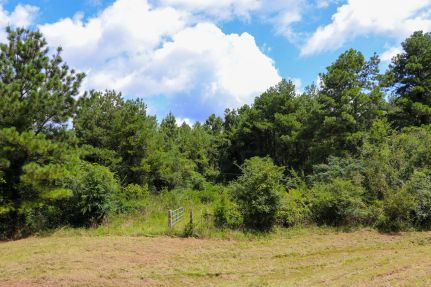 Residential Property for sale in Attala County, Mississippi