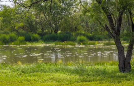 Farm Property for sale in Zavala County, Texas