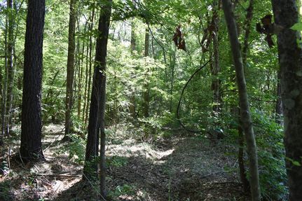 Farm Property for sale in Sabine Parish, Louisiana