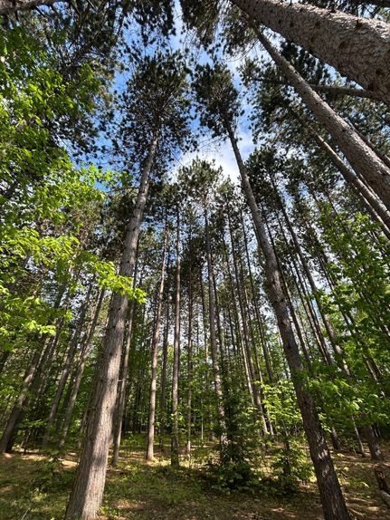Farm Property for sale in Marquette County, Michigan