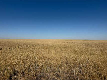 Farm Property for sale in Greeley County, Kansas