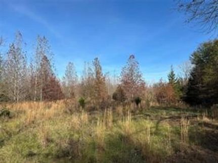 Hunting Land for sale in Red River County, Texas